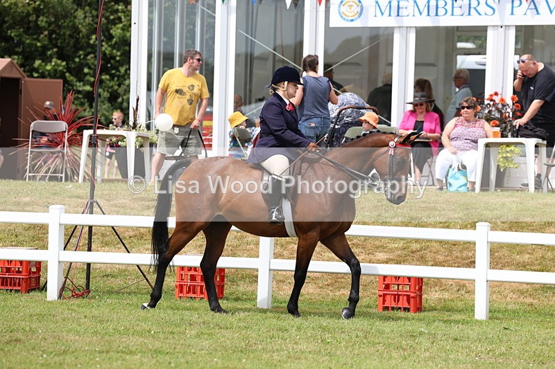 3E7A0789 - Class 8: Open Riding Horse/Hack