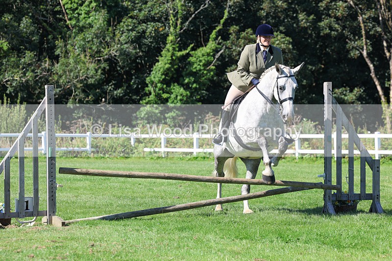 3E7A8240 - Class 4: Novice working Hunter