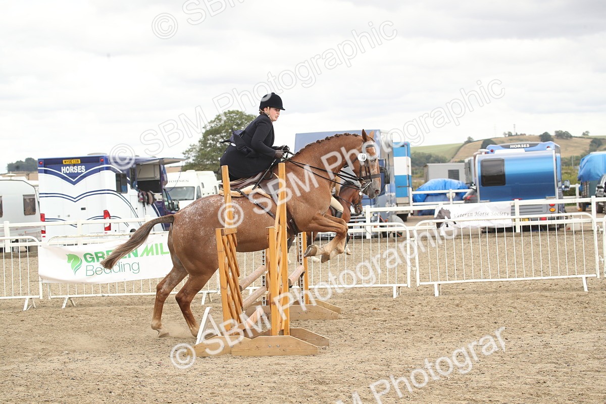 SBM_17657 - Class 508a - Working Veteran 70cm (15-19)