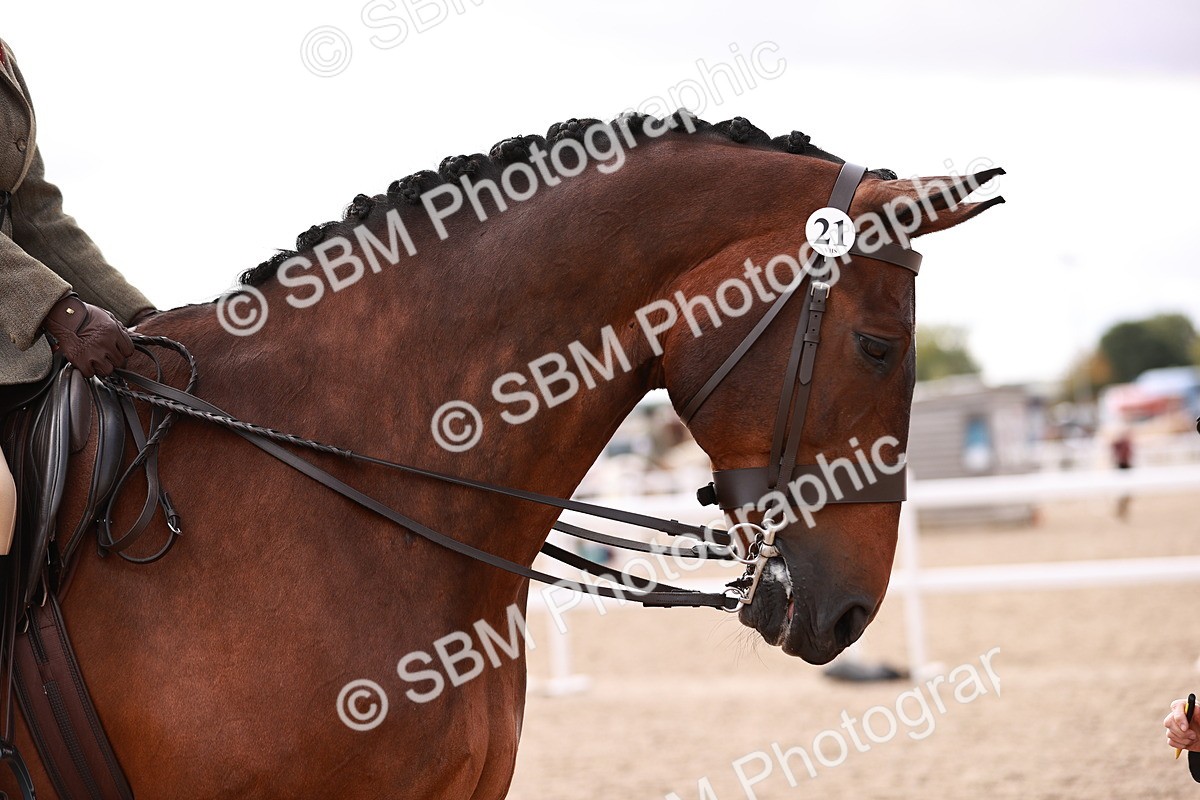SBM_14289 - Class 408 - Grassroots Ridden -Walk & Trot