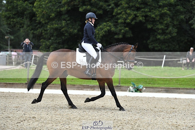 230812-125732-04245 - Cls 6 Novice Silver 12.10 to End