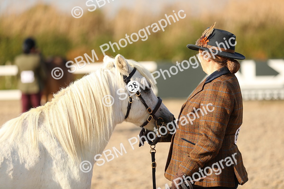 SBM_08960 - Class 29 IH Veteran Pony