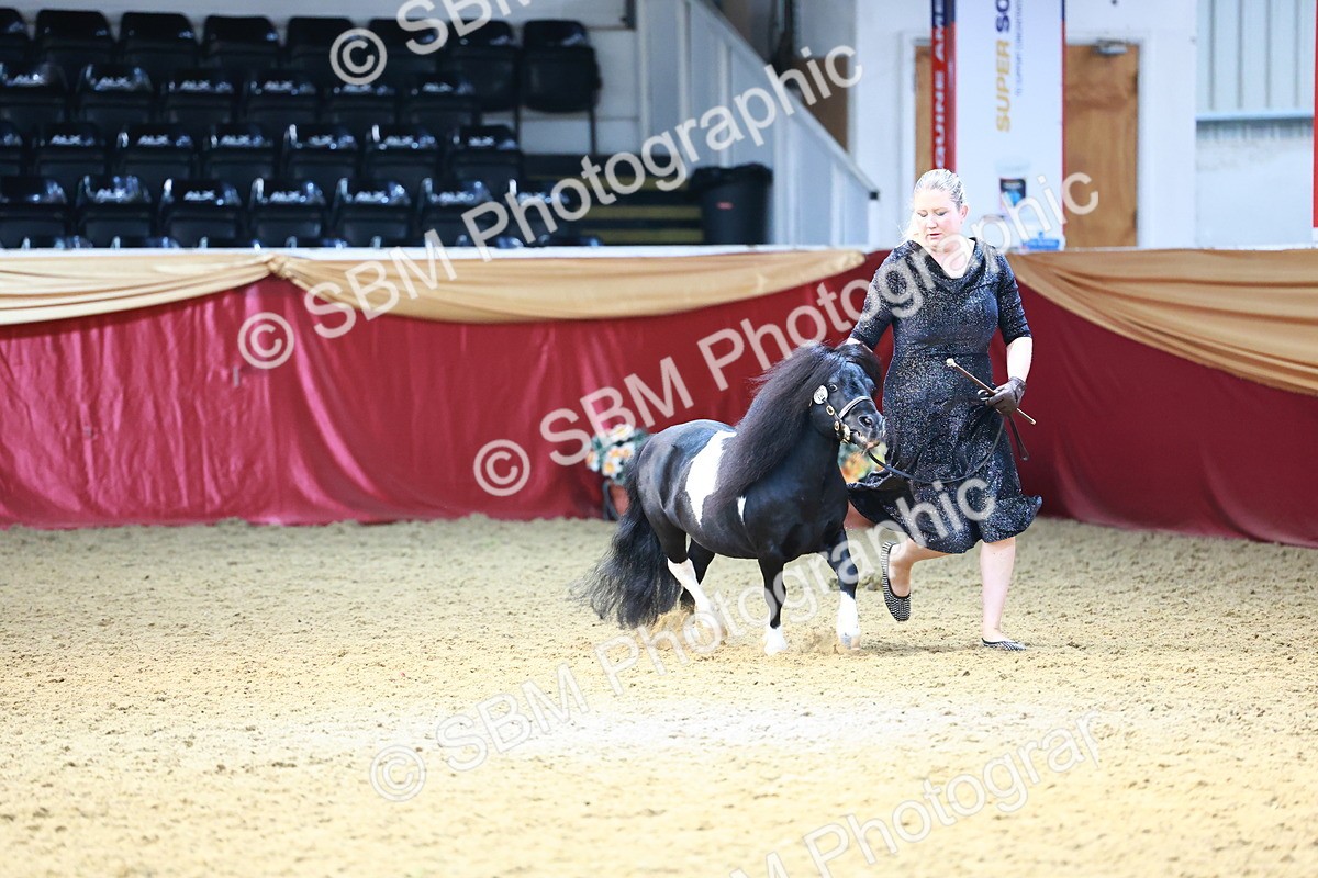 SBM_23105 - Class 903 - Supreme Final - IH Pre Vet