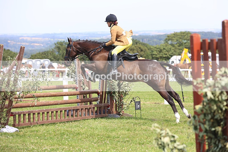 JPP_3579 - Class 23: Working Hunter 80cm