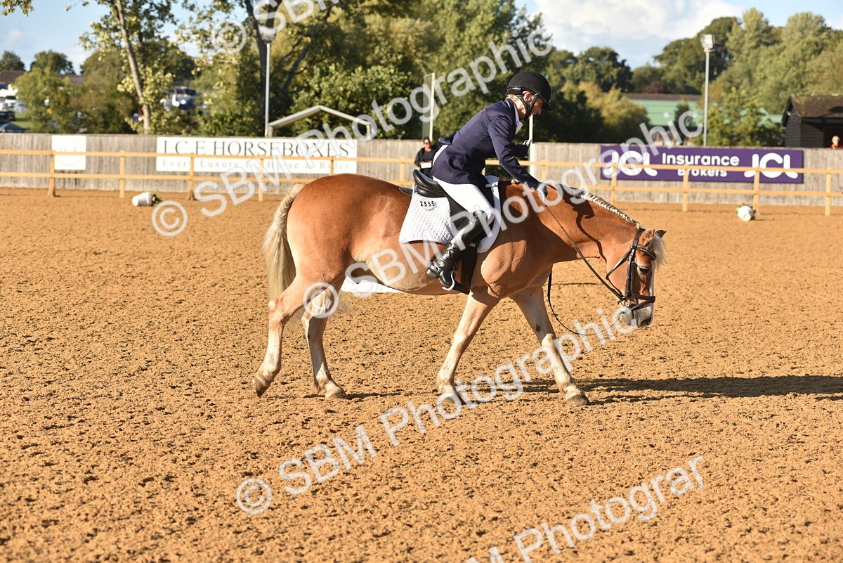 SBM_11421 - D28 - Elementary