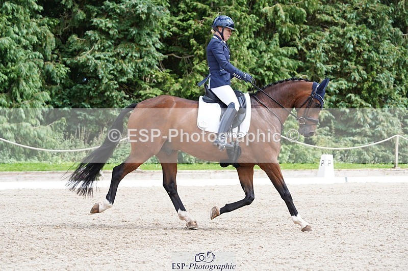 240721-151330-10019 - 195-Dawn_Bear-First_Taylor_Made