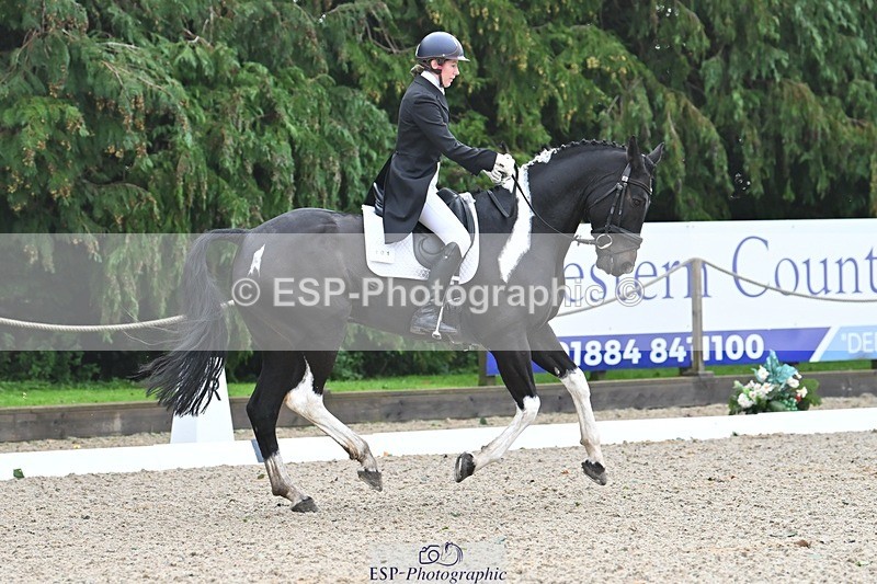 231019-103549-01904 - 101-RICARDO.COLOURS.II-Elizabeth.Wadey-DR