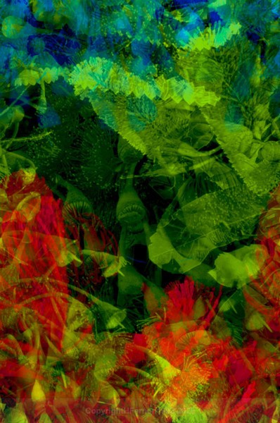 STILL LIFE-CYCLE - STILL LIFE-CYCLE I 2012