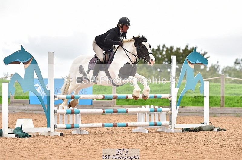 230808A-171018-00282 - 80cm