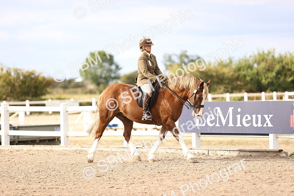 SBM_18146 - Class 423 - Equitation (best rider) Adult