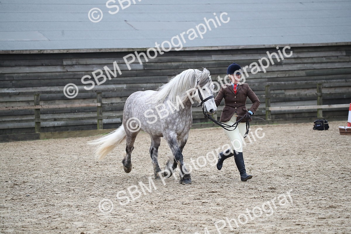 SBM_007257 - Class 10-13 - RIHS Small Large Breeds