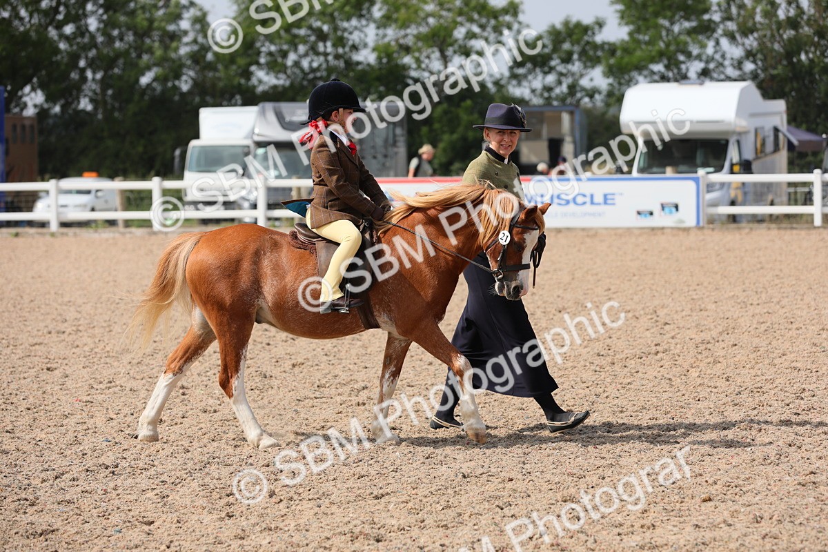 SBM_13970 - Class 309 Lead Rein Pony