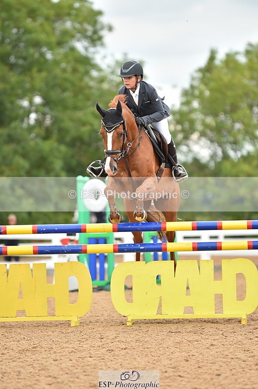 230720A-121406-02491 - Cls 13, 1 Star Bronze 1.10m