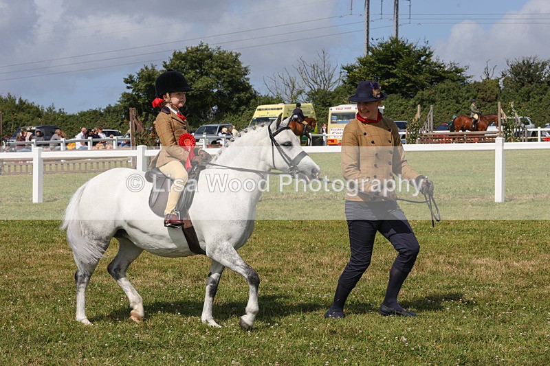 1X9A3695 - Class 29: Lead Rein SP/SHP