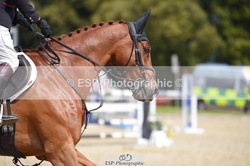 230528-125648-15915 - 301-JET_FIGHTER-Harry_Meade-SUNTrotUp+SJ