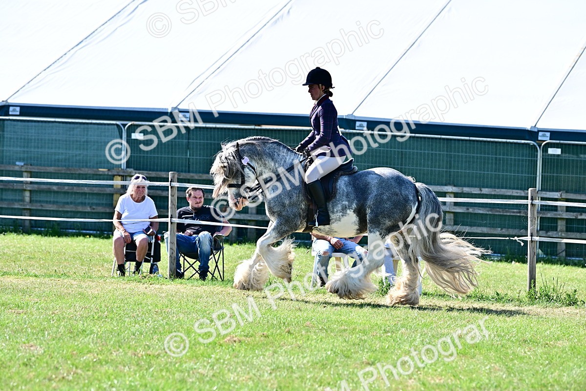 SBM_19425 - Class 101-102 - BSPS LIHS Performance Coloured Horse/Pony