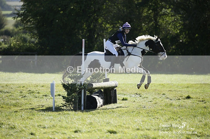  WWHT 031021 781 - WWEC Novice Restricted (0.80m) 18/10/20