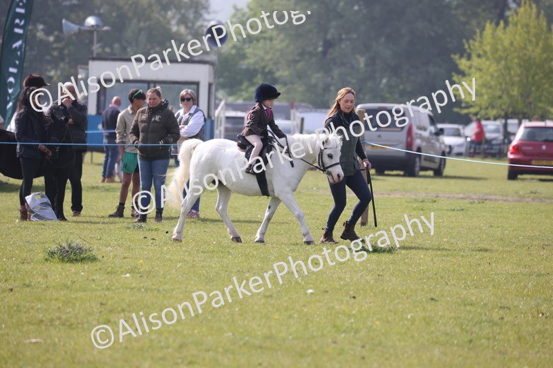 20260426-0355 - Class 30 - Tiny Tots Lead Rein