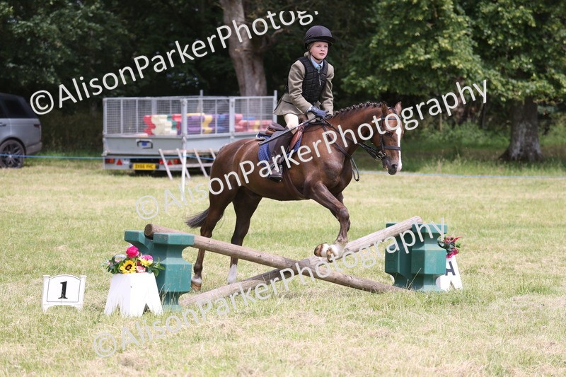 20260614-2841 - Class 22 - Open Working Hunter