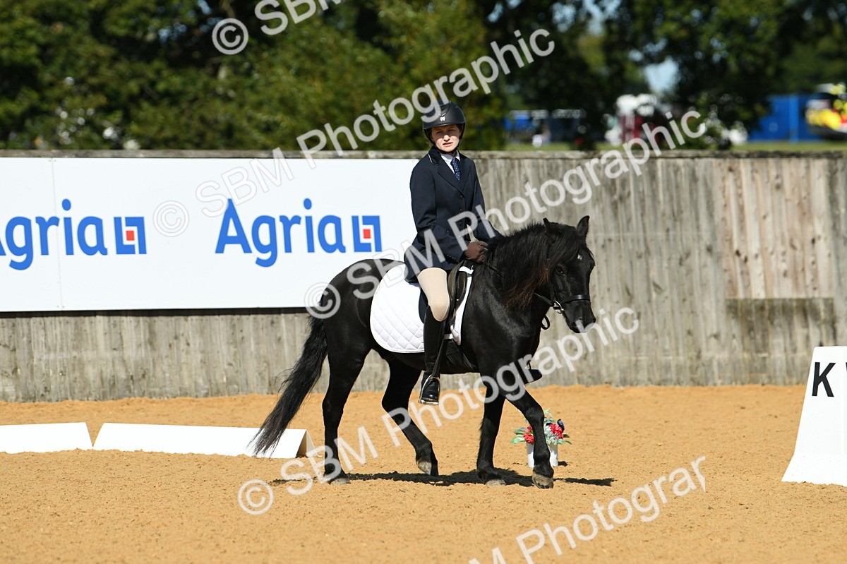 SBM_18171 - D4 - Small Tour Championship - Intro B