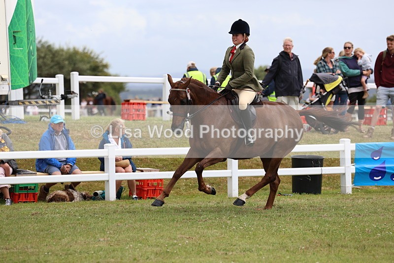 3E7A1017 - Class 8: Open Riding Horse/Hack