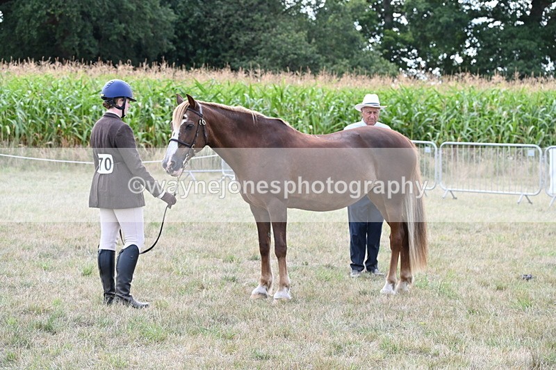 WJ6_6667 - Class 20 In-hand Cob