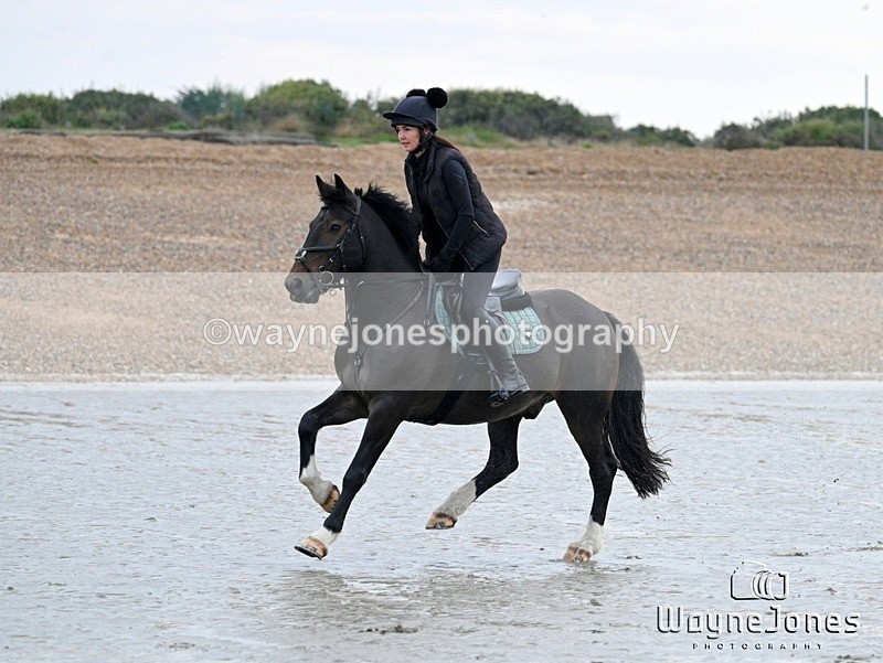 WJ7_8828 - Hayling Island Beach Shoot 22-09-24