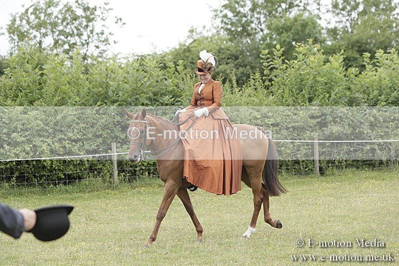 BVR160717-2439 - Side Saddle Classes 16/07/17