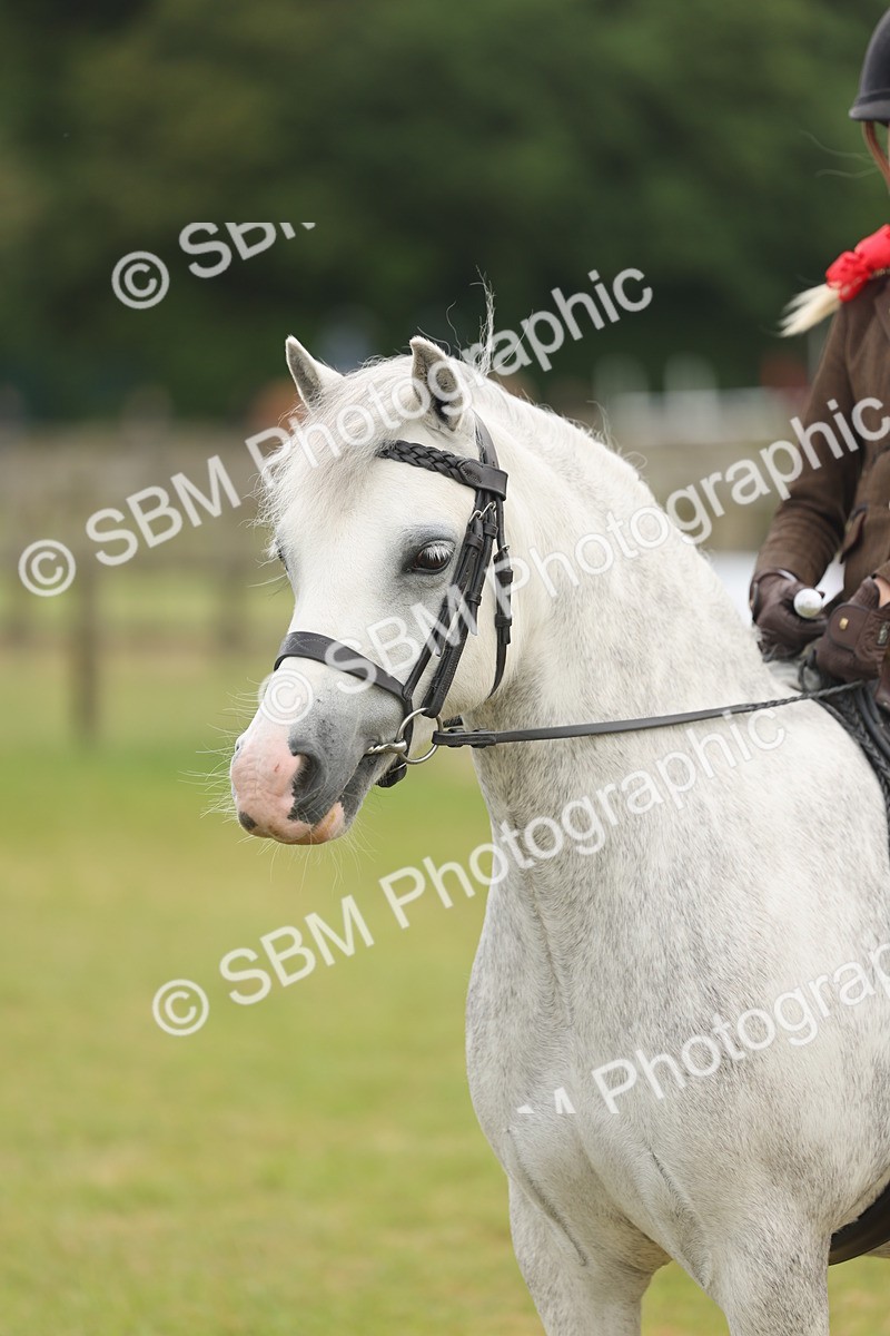 SBM_06889 - Class 74-75 - M&M Lead Rein and First Ridden Pony