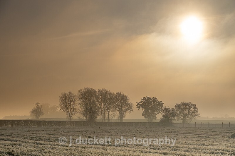 Winter Sun