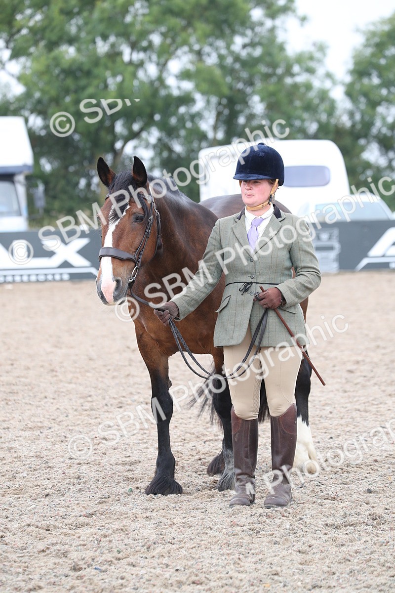 SBM_22562 - Class 604 - 2025 Area - IH Diamond