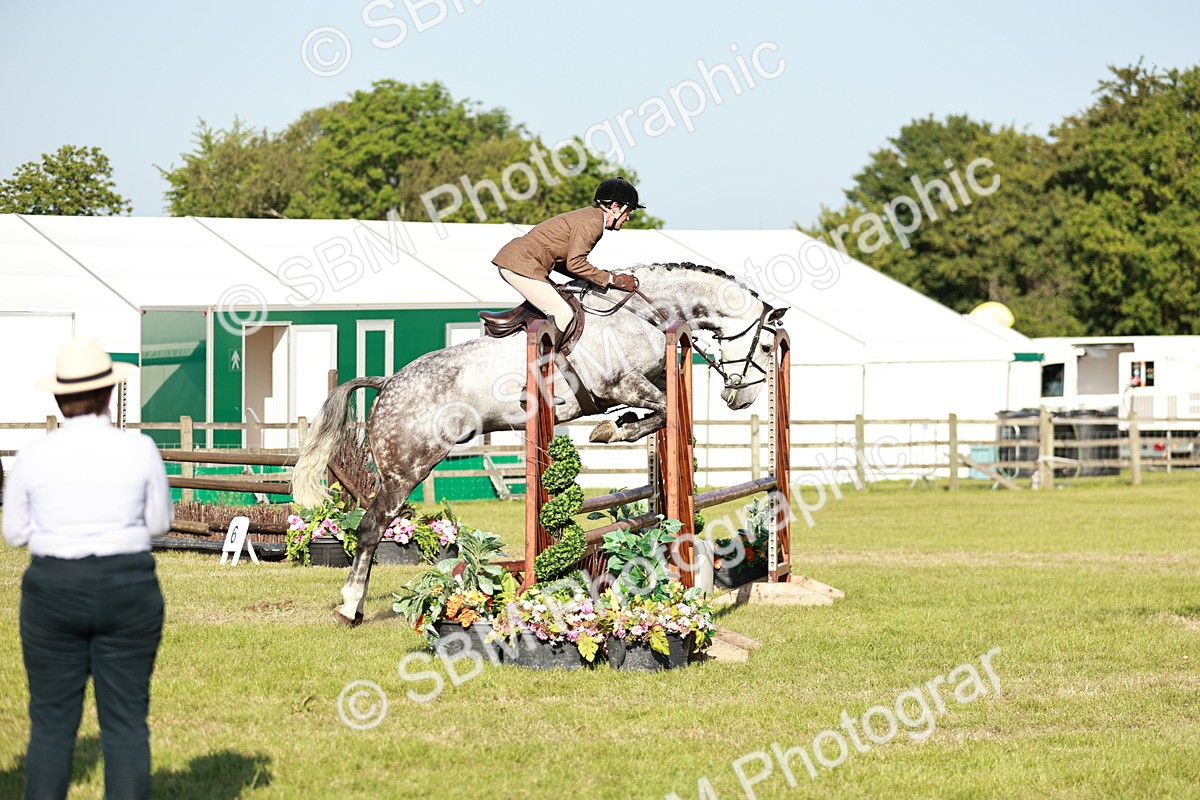 SBM_19965 - Class 115-116 - LIHS BSHA Rising Star Working Hunter & Show Horse