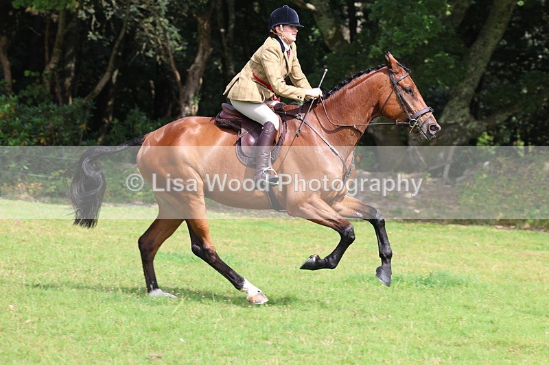 3E7A6146 - Working Hunter Championship