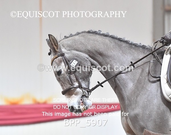 BPP_5907 - 31 Iona Cosh