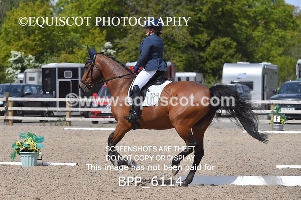 BPP_6114 - 24 L HAMILTON