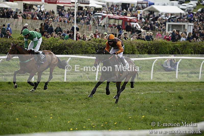 PtP 170417 198 - Old Berks Point-to-Point Lockinge 17/04/17