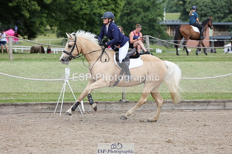 250614A-095251-05449 - Cls 26 British Novice and 90cm Open