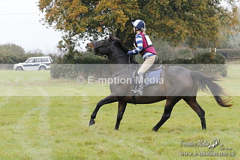 WWHT 181020 WWHT 181020 441 - WWEC Open Novice (0.80m) 18/10/20