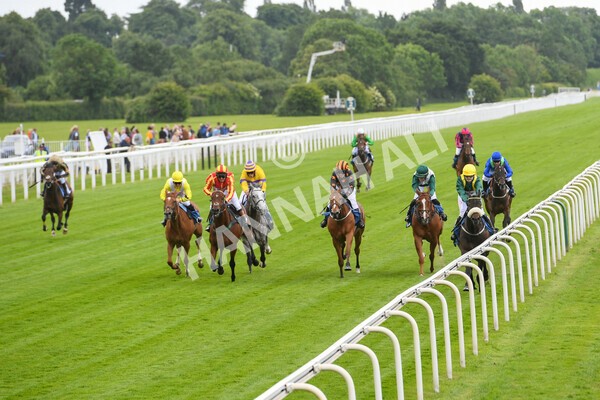 yr11062022r1-137 - Race 1 12.45pm Macmillan Ride of Their Lives, supported by Sky Bet