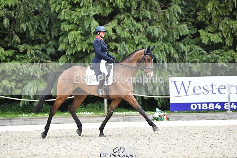 230525-150358-03189 - 324-DRUMGIVEN_MR_CHARISMA-Jeanette_Brakewell-WEDTrotUp+DR