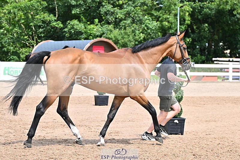 240718A-105303-01505 - Trot Up 12pm to 1pm