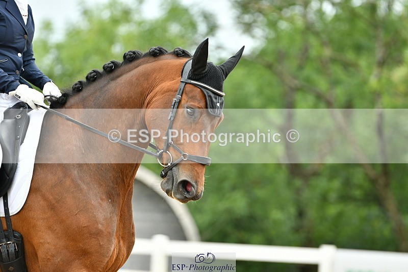 230701A-113619-04985 - Cls 9 Music Elementary