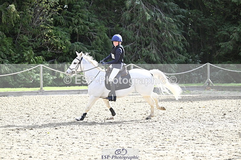 251005A-125433-03955 - Cls 08 Mini 70-75cm