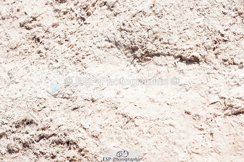 250525-105244-09183 - Cls 32 A&B Snr Brit Nov & 90cm Open