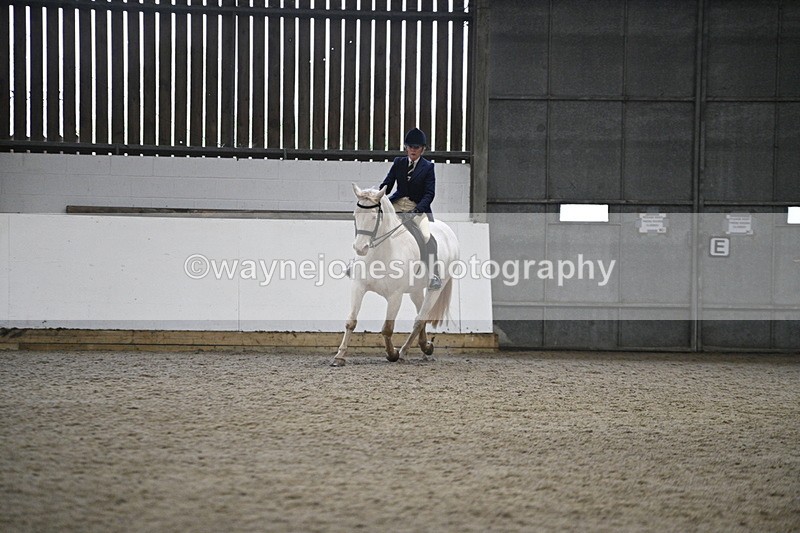 WJ7_3623 - Class 16 Ridden Coloured/ Odd Coloured