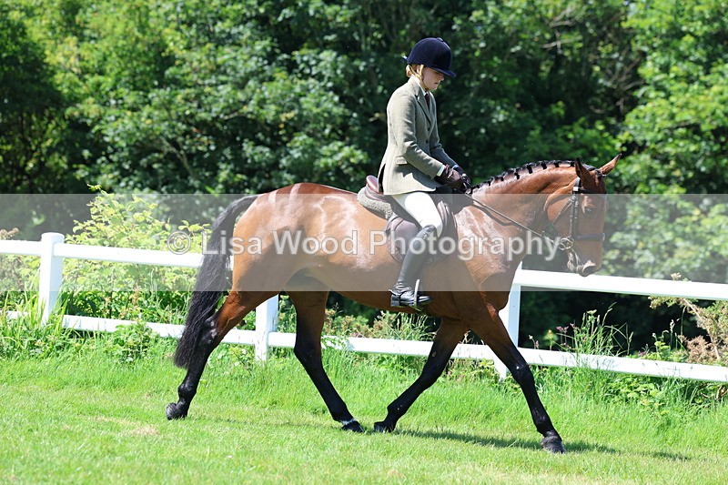 3E7A7155 - Class 30: Novice Working Hunter