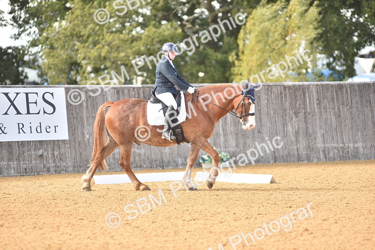 SBM_24378 - D4 - Small Tour Championship Intro 4