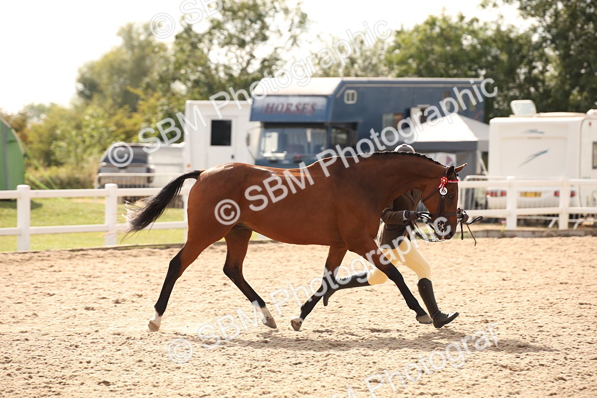 SBM_08154 - Class 27 - IH Competition Horse-Pony