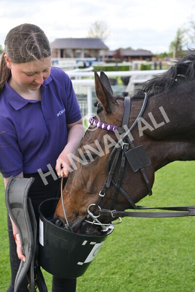 yr12052022r6-39 - Race 6 4.45pm Frank Whittle Partnership EBFstallions.com Maiden Stakes