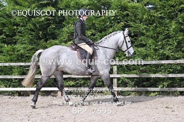 BPP_7595 - RING 1  (RIDDEN HORSES / IN HAND / VETERAN ETC)
